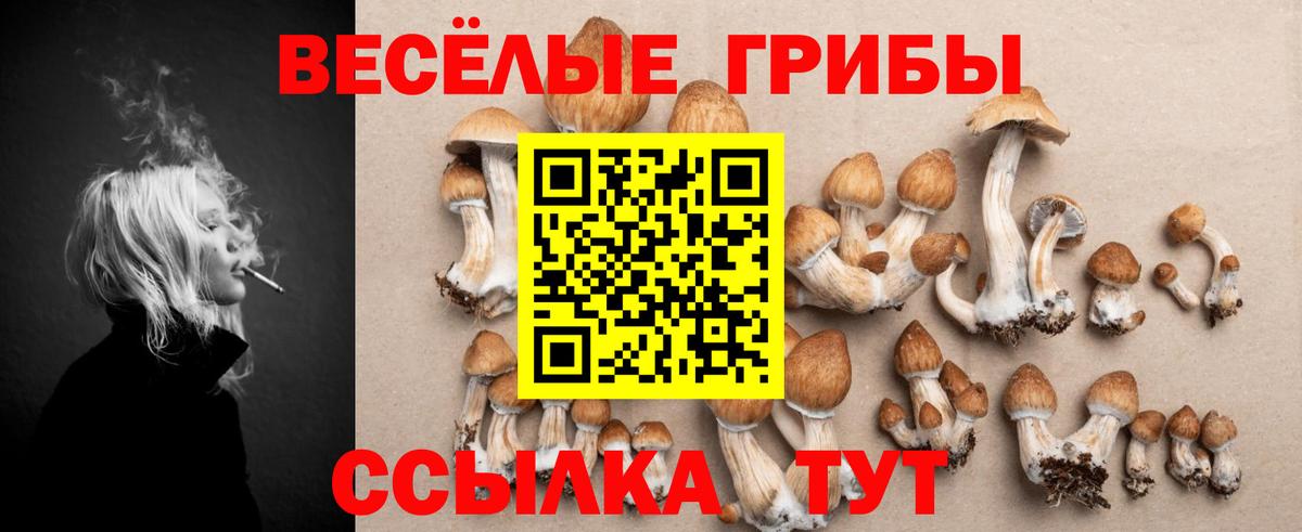 Галлюциногенные грибы мицелий Троицк