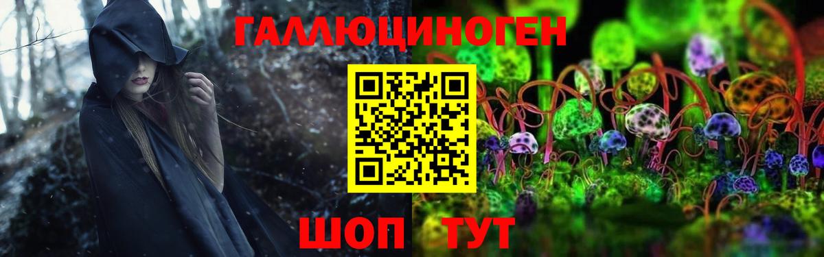 Троицк  Галлюциногенные грибы Psilocybine cubensis  Вход с VPN 